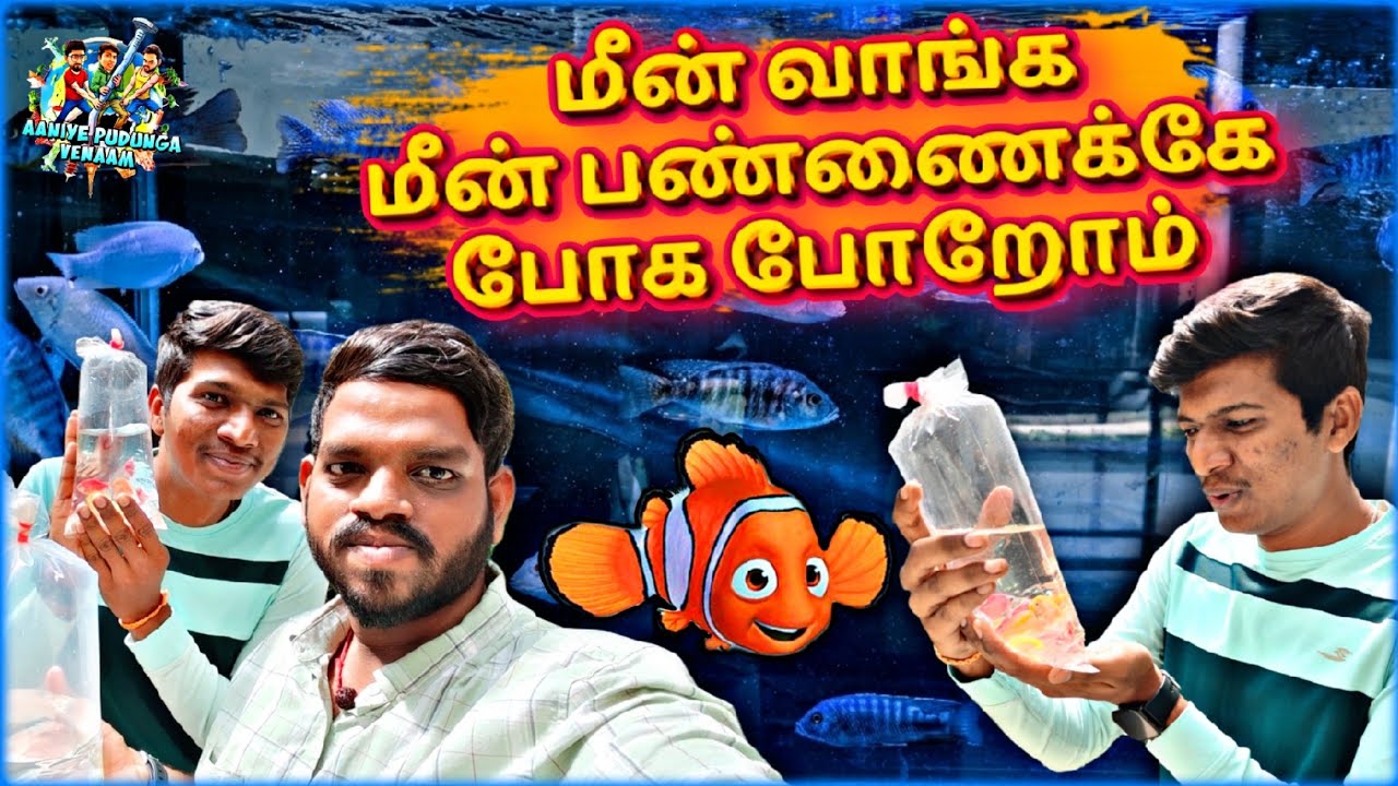 😂FISH வாங்க மொத்த FISH MARKET-ம் அலசிட்டோம்!!! KOLATHUR வண்ணமீன்கள் COMPLEX | Aaniye Pudunga Venaam