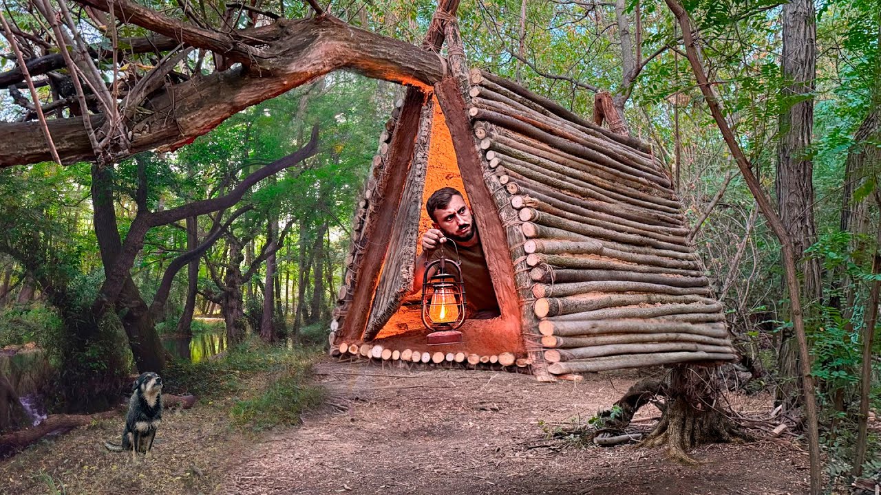 Building a Flying Shelter on a Tree: A Reliable Way to Survive Wild Animals