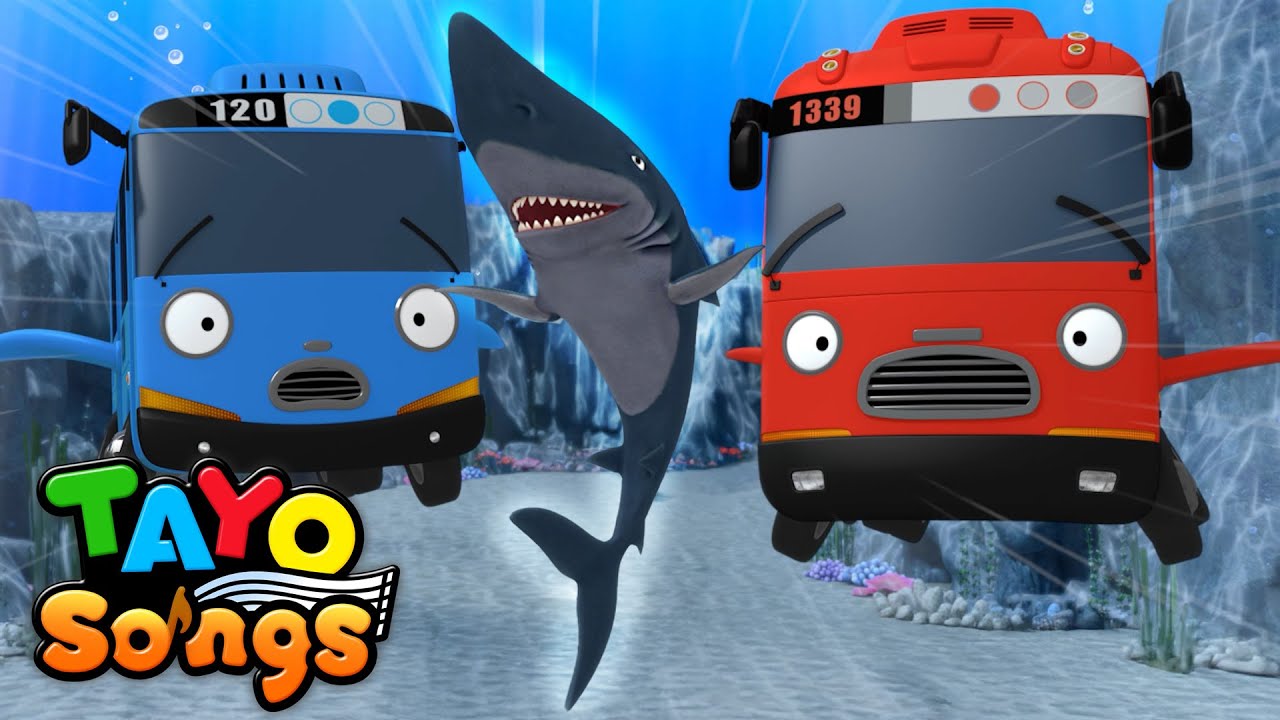 The Fastest Shark in the Ocean: Blue Shark🦈| Tayo Shark Song | Tayo Nursery Rhymes and Kids Songs