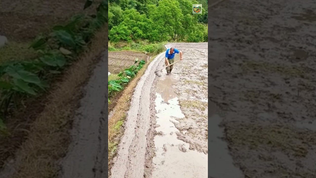chinese village life #reels #shorts #shortvideo #satisfying #chinesevideo #farming #villagelife