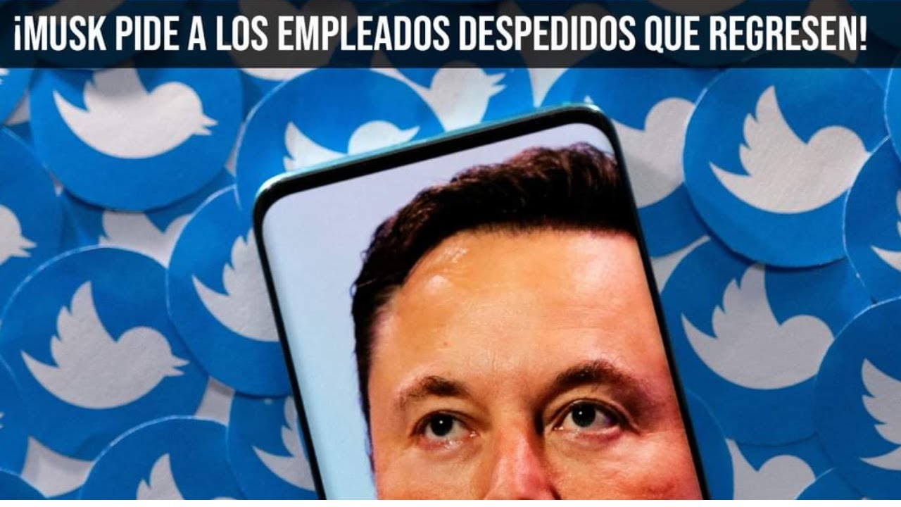 Elon Musk cobrar&aacute; por usar Twitter?  || programadormp