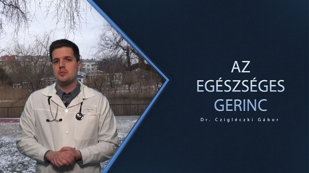 Az eg&eacute;szs&eacute;ges gerinc