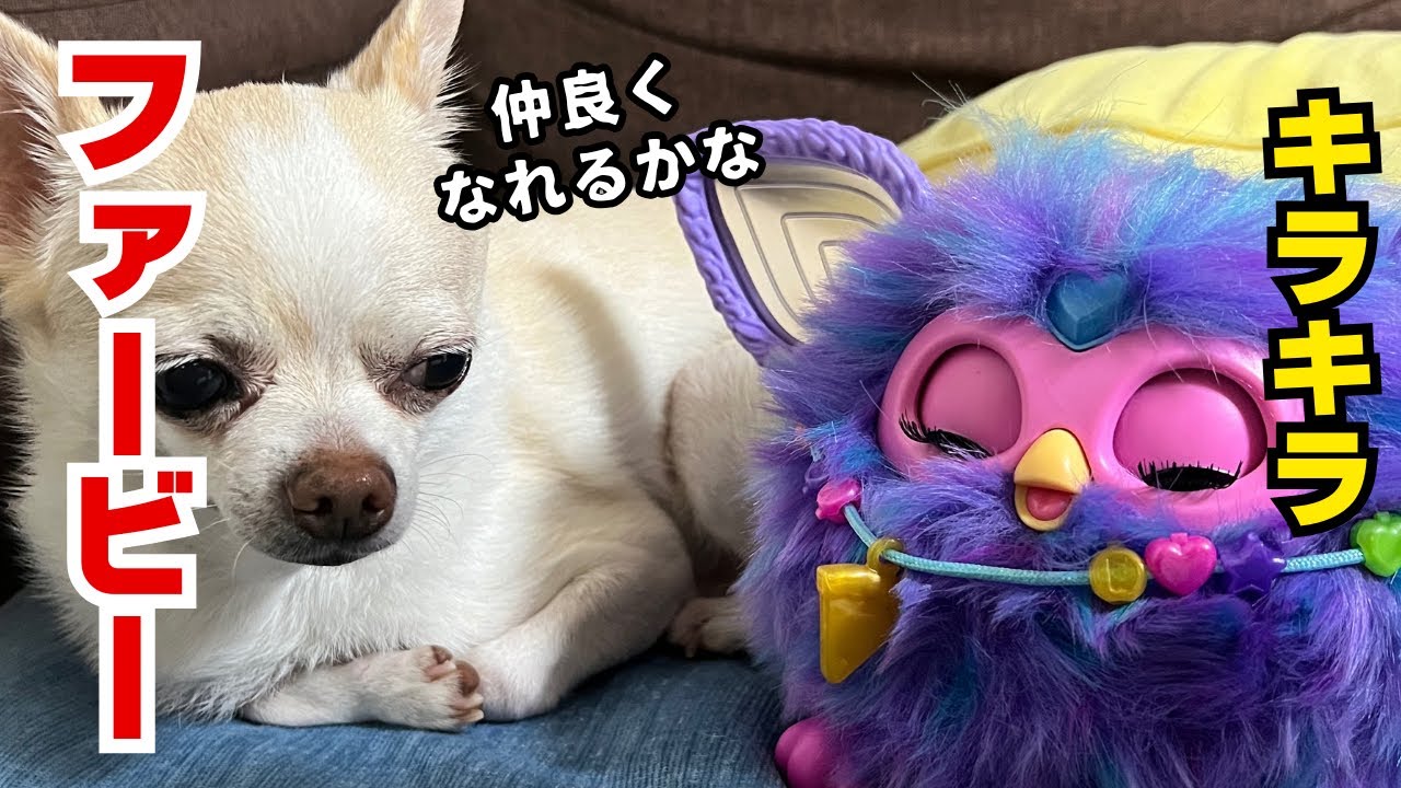 令和版！ファービー！