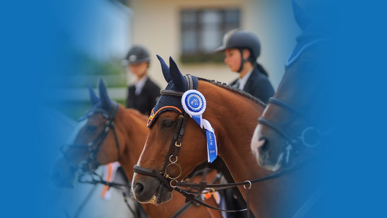 FEI World Jumping Challenge (1-е соревнование)