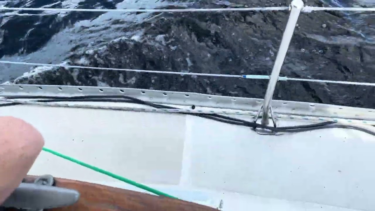 Finaly done with bottom paint. Back at dock! 