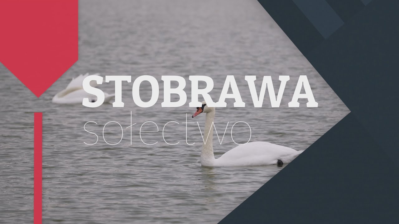Program Nasze Sołectwo - STOBRAWA!