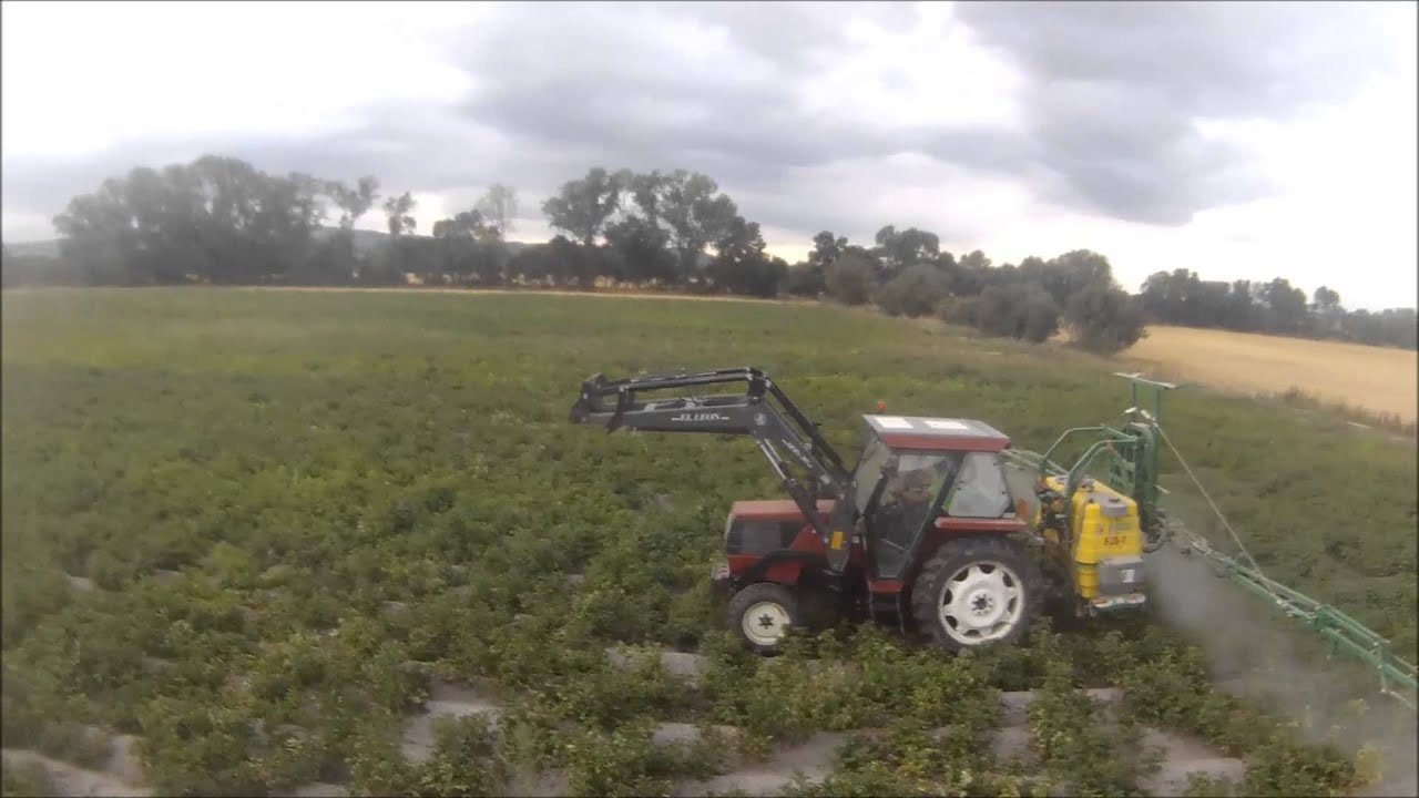 sulfatando patatas  (gopro)HD ///sulfater pommes d