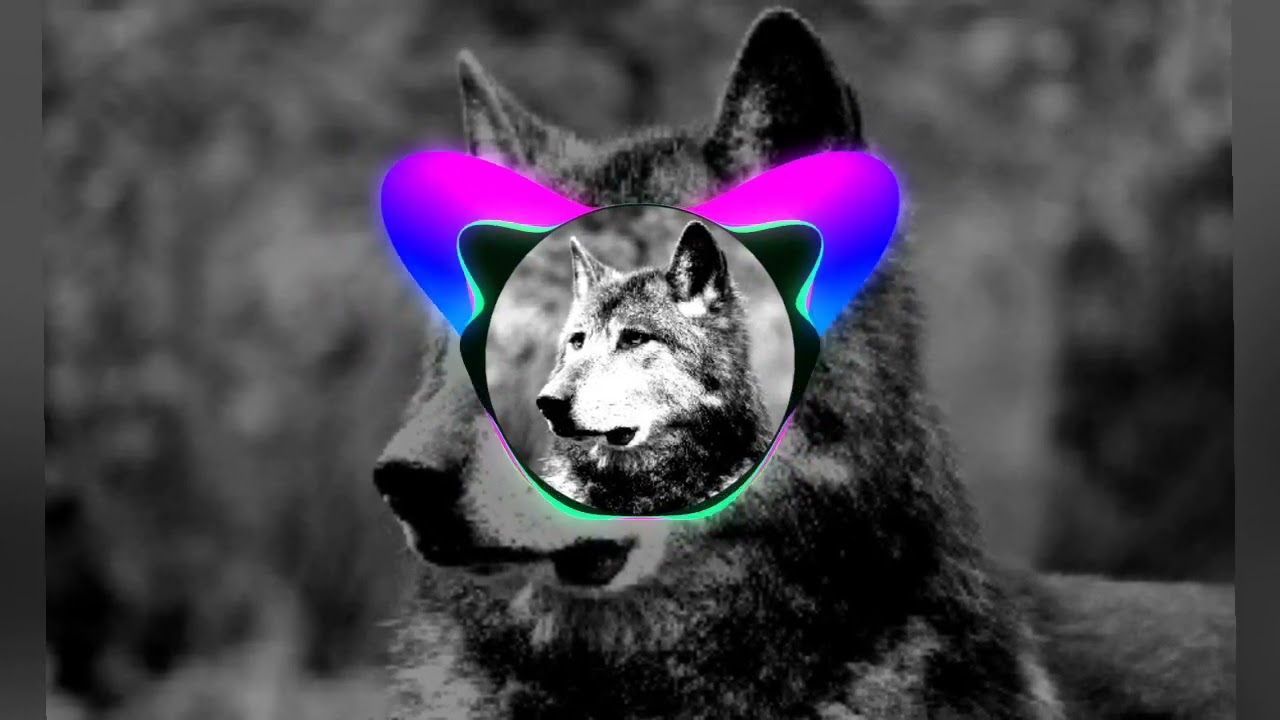 Ахыска Лезгинка-Slowed Kavkaz Music 🤟💪🤝🇹🇷❤🇦🇿