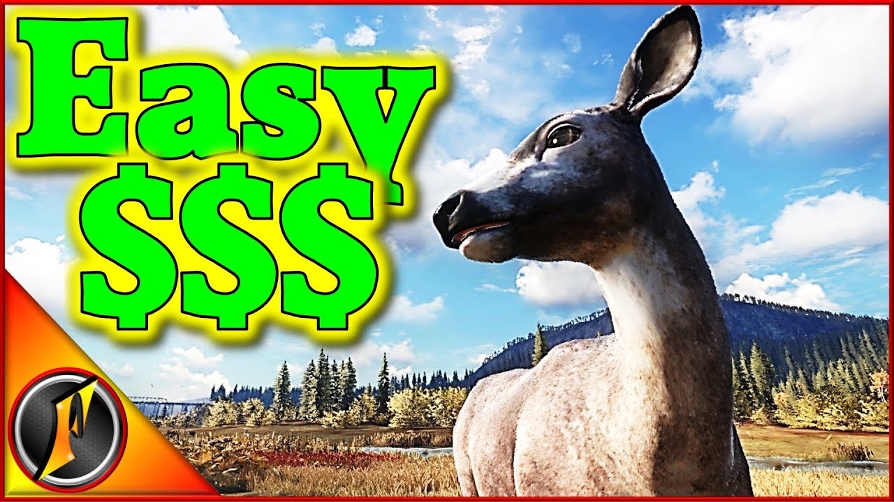 How to Earn Cash as a Beginner | theHunter Call of the Wild