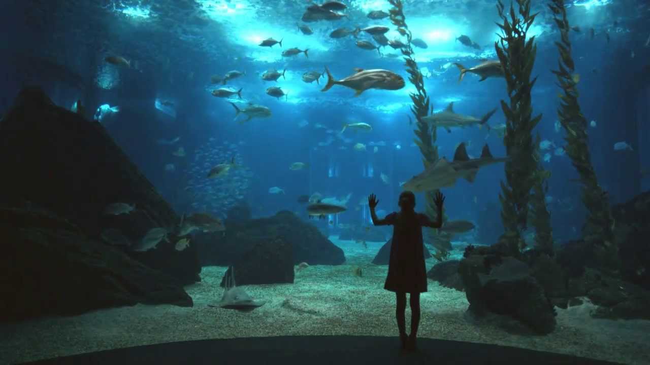 Portugal Tourism Official Video - Portugal
