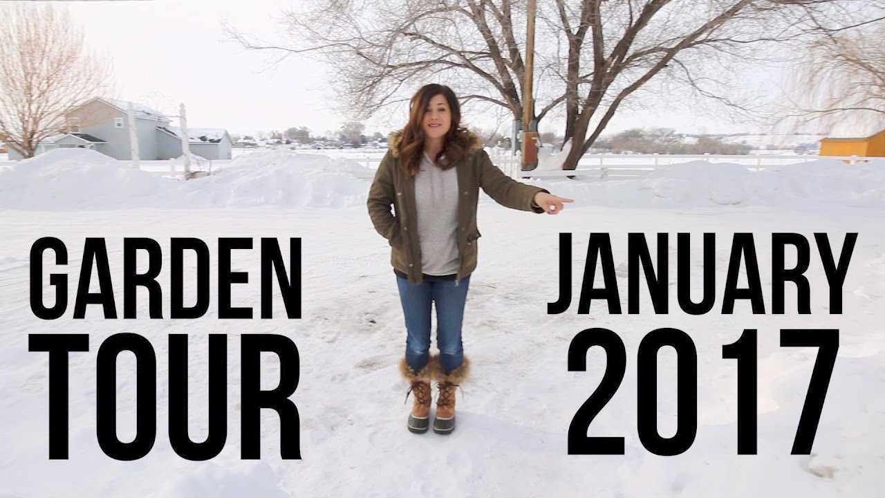 Garden Tour January 2017 // Garden Answer