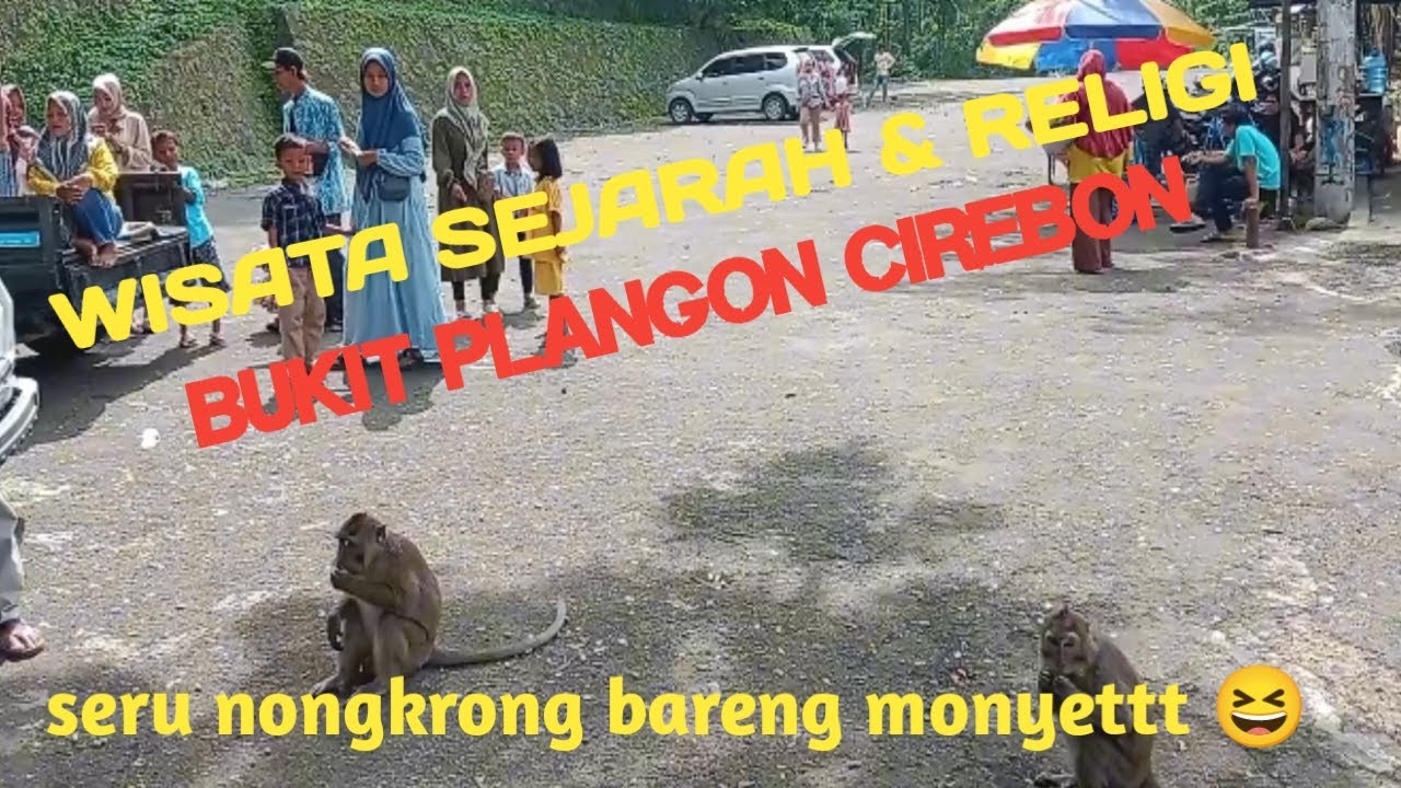 NONGKRONG SERU & ASYIK BARENG KUMPULAN KERA 😆 PENGHUNI BUKIT PLANGON CIREBON