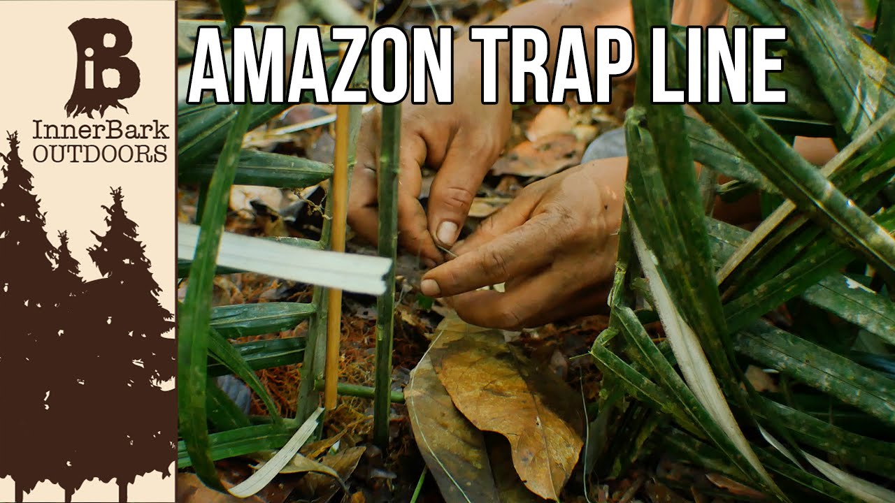 Building a Trap Line: Life In The Amazon Jungle