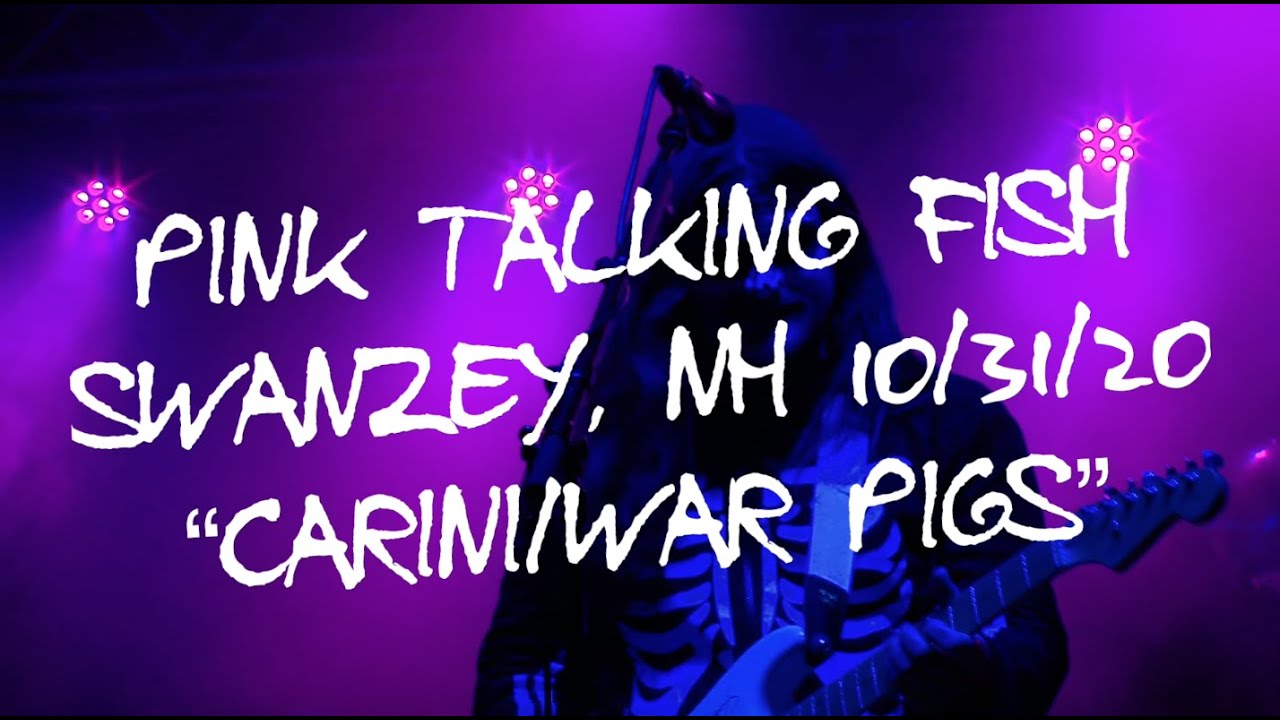 Pink Talking Fish | 