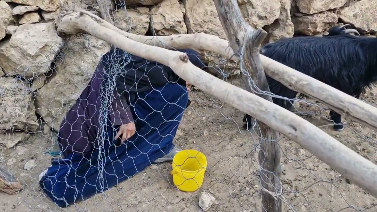 The event of Iranian nomadic life in a remote village #vesht