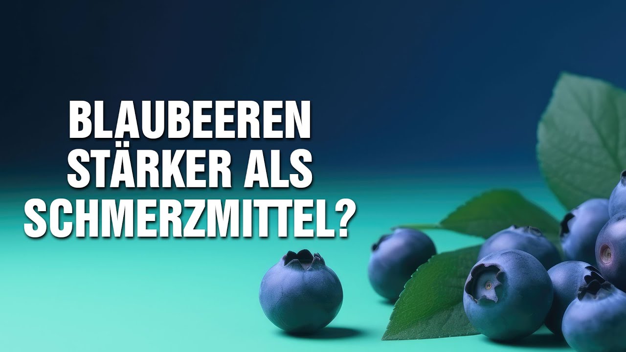 Blaubeeren stärker als Schmerzmittel? - Warum stille Entzündungen die Ursache jeder Erkrankung sind!