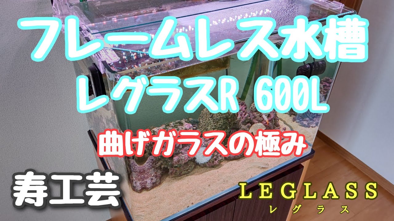 【レグラス R−600L】フレームレス曲げガラス水槽が思った以上にスゴかったので紹介します！