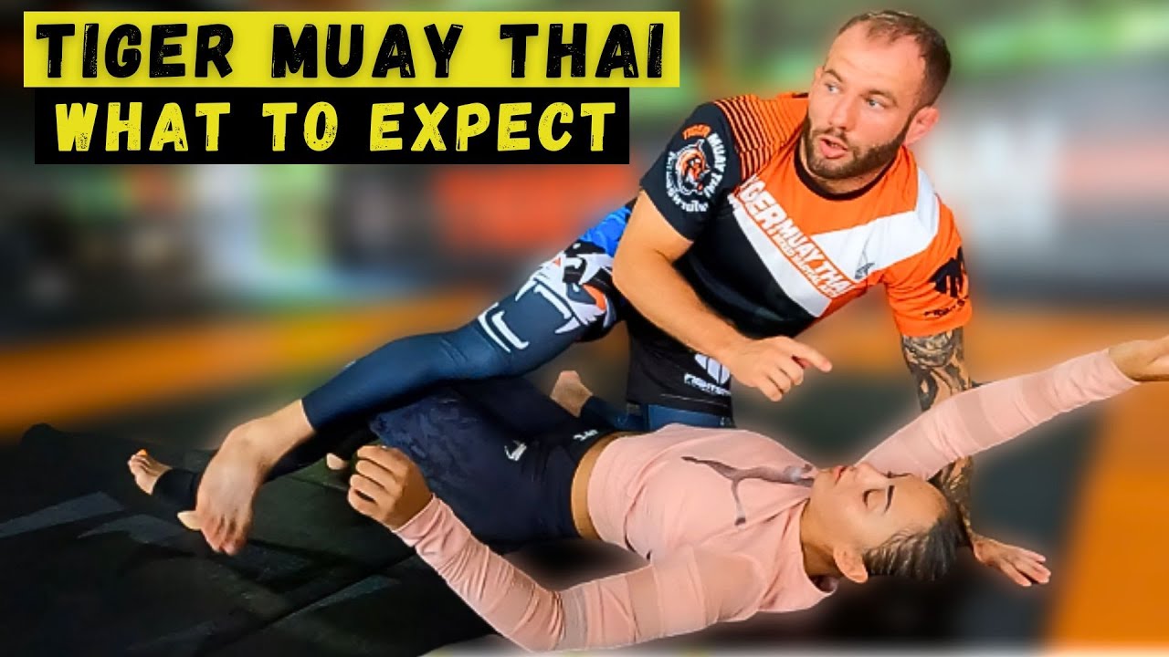 JIU-JITSU at Tiger Muay Thai (What to Expect) | SE03E125