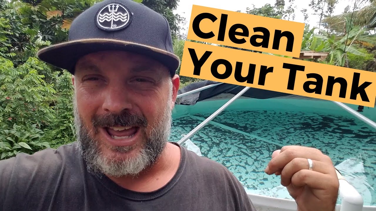 How To Clean Rainwater Catchment Tanks @CleanYourTanksHI