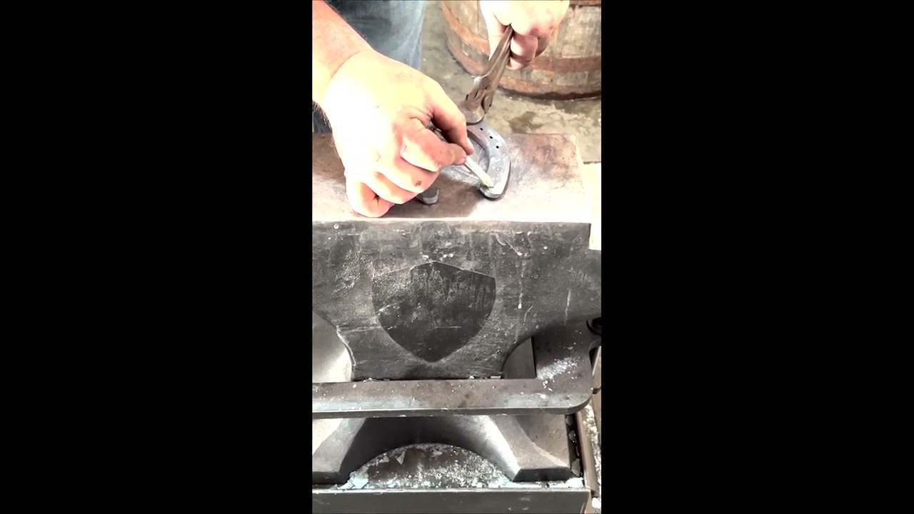Jamey Carsel, CJF - Werkman USA team farrier modificates a Werkman Maverick hind shoe
