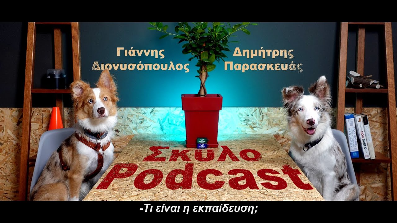 Τι είναι η εκπαίδευση ενός σκύλου; | ΣκυλοPodcast 1