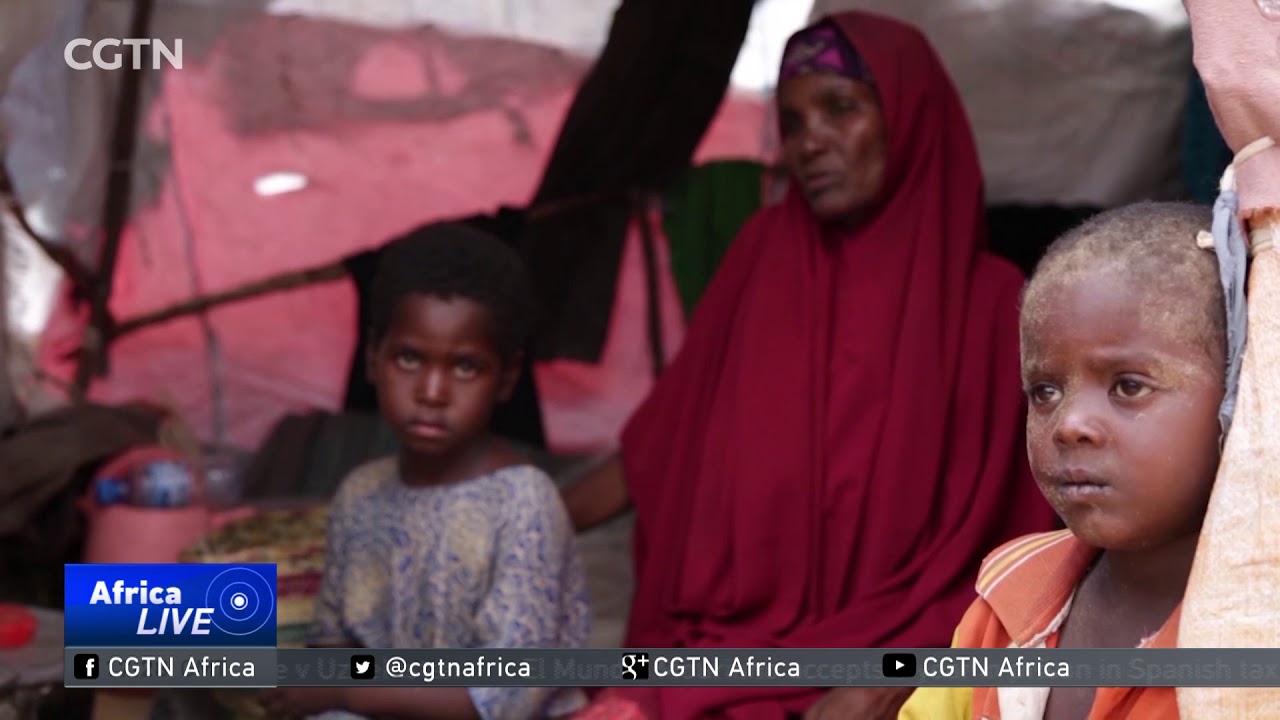 UN: Somalia food security has improved, but evictions are a concern