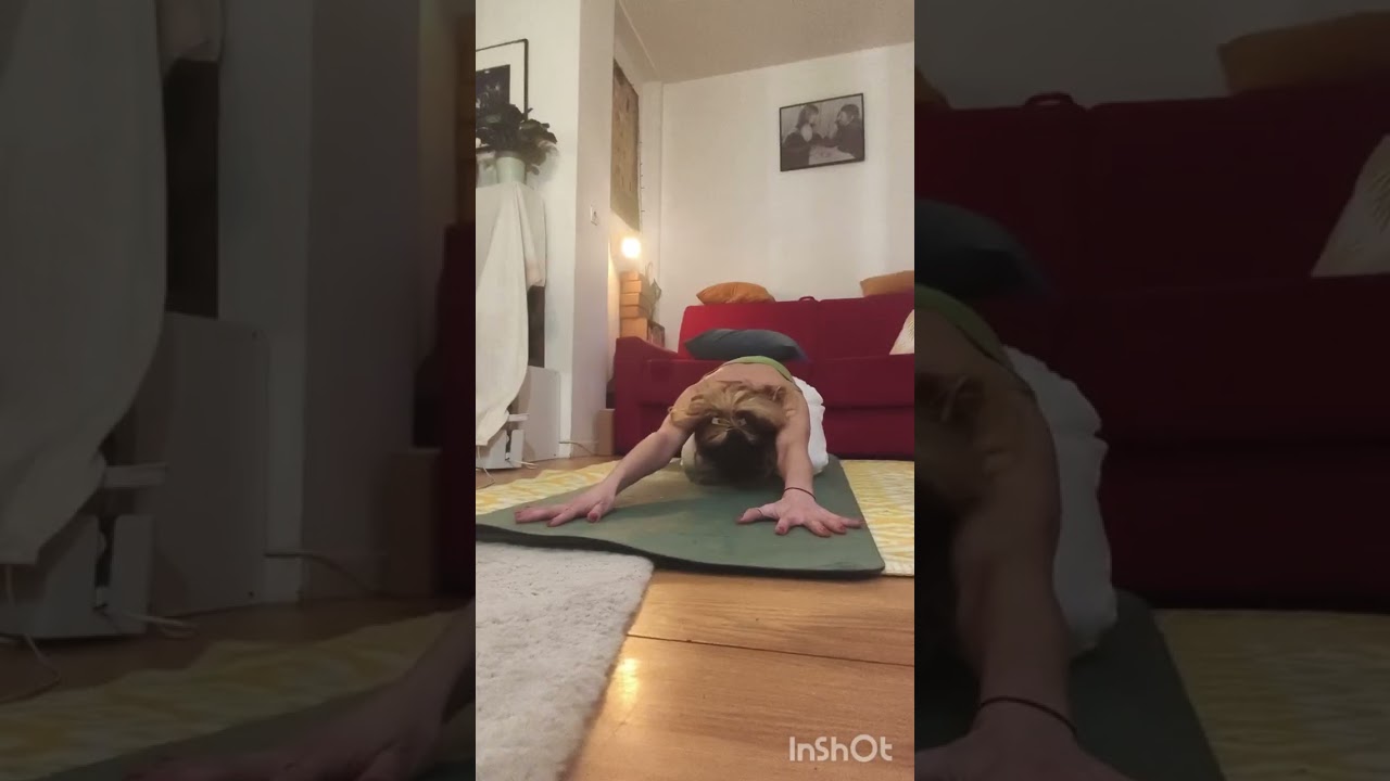 Décortiqué N°1 ADO MUKHA SVANASANA