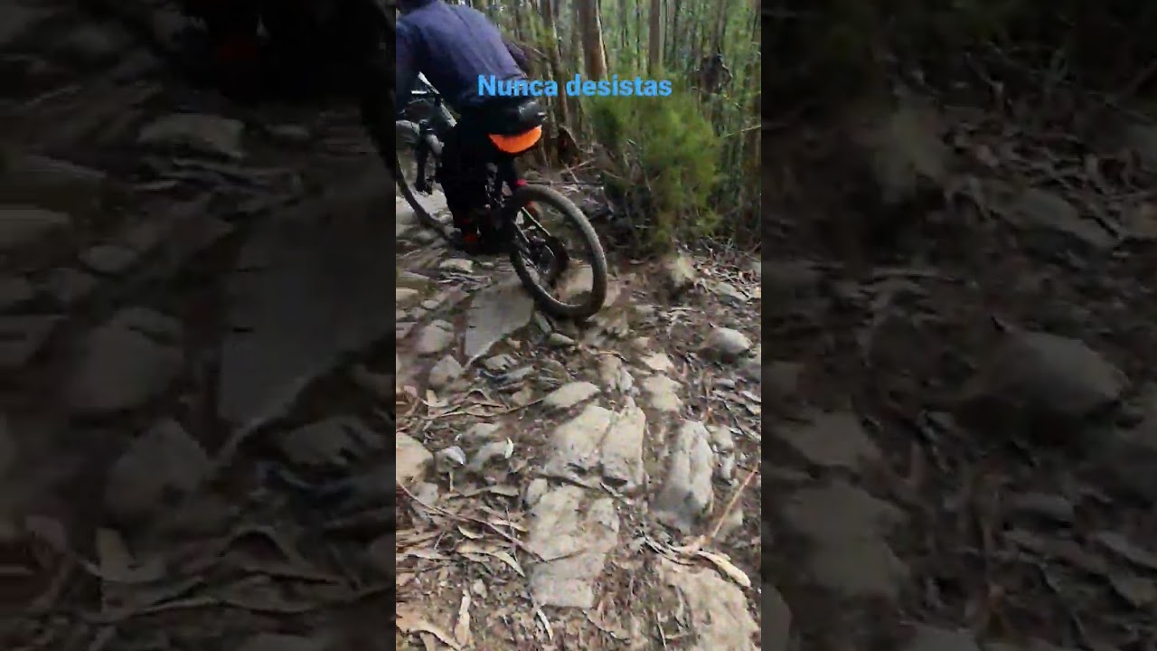 Ebike, serra de Valongo