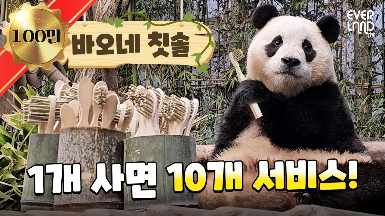 [ENG]푸바오와 뚠칫솔의 추억 사세요~💚 바오네 칫솔가게 𝗢𝗣𝗘𝗡｜#판다와쏭 #148 #아이러푸루후
