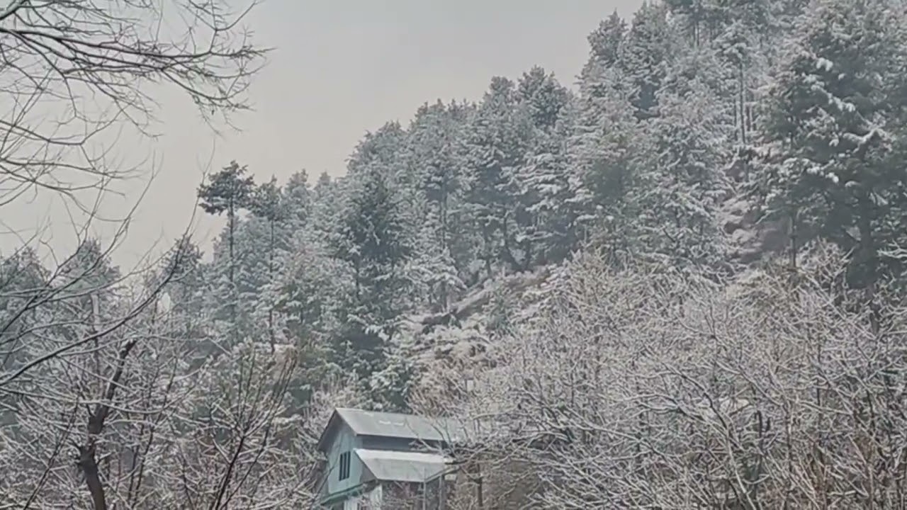 Winter&rsquo;s Return: Fresh Snowfall Blankets Bhalesa in Doda, J&K