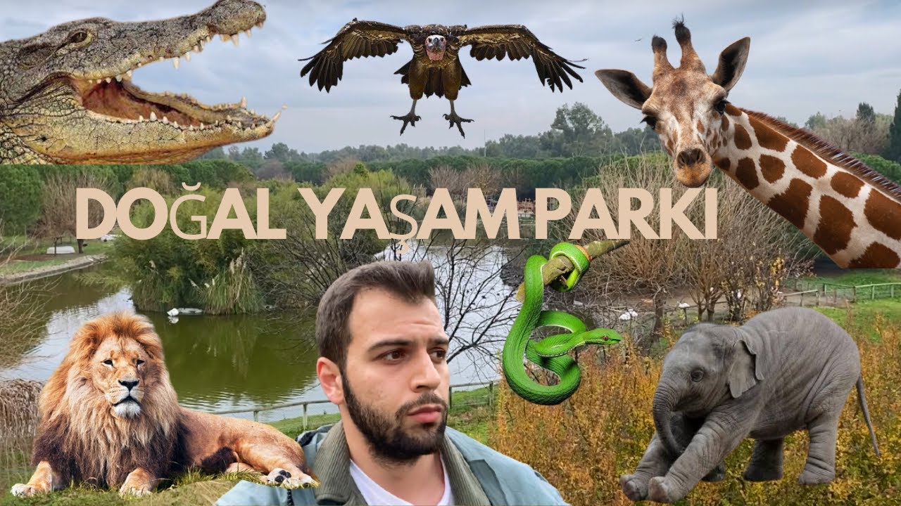 İZMİR SASALI DOĞAL YAŞAM PARKI  VLOG ( HAYVANAT BAHÇESİ )