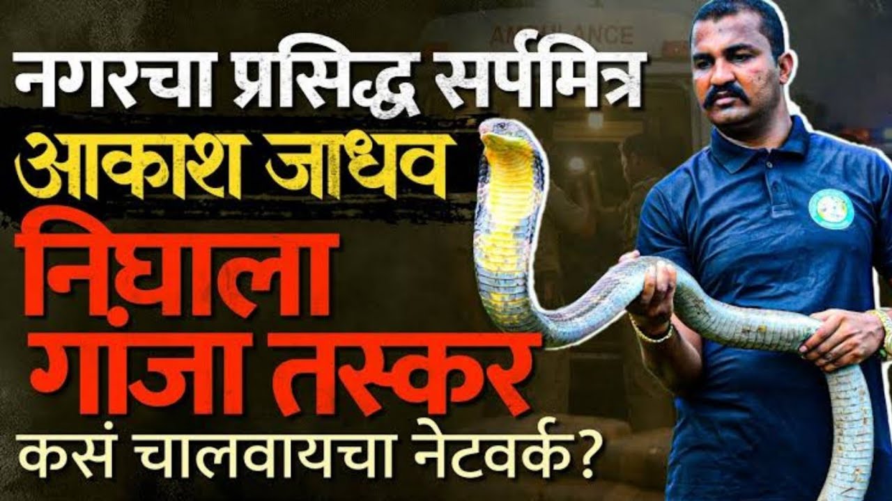 🟡 EP 16 | नगरचा प्रसिद्ध सर्पमित्र आकाश जाधव निघाला गांजा तस्कर | कस चालायचं नेटवर्क |Marathi Crime|
