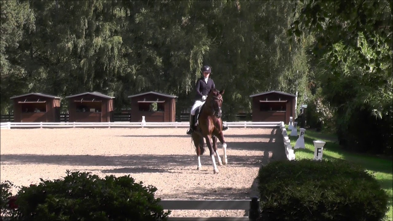 2018 09 16 M**-Dressur von Lena Backes mit Fioretto Festival in Krefeld bei Schiergen