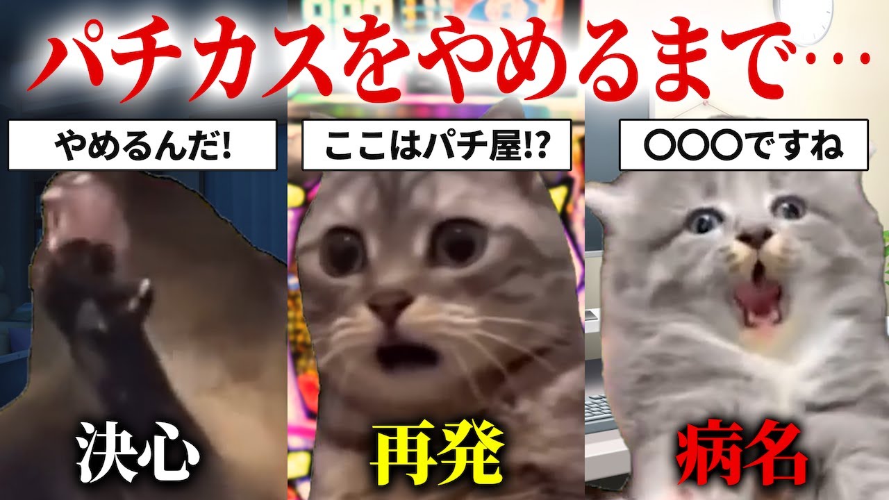 【総集編】借金返済とパチンコ依存症の戰い【猫ミーム・猫マニ】