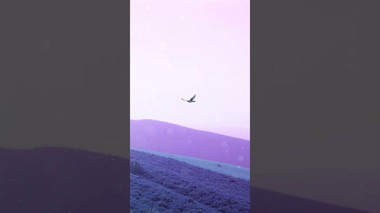 Primeiro voo