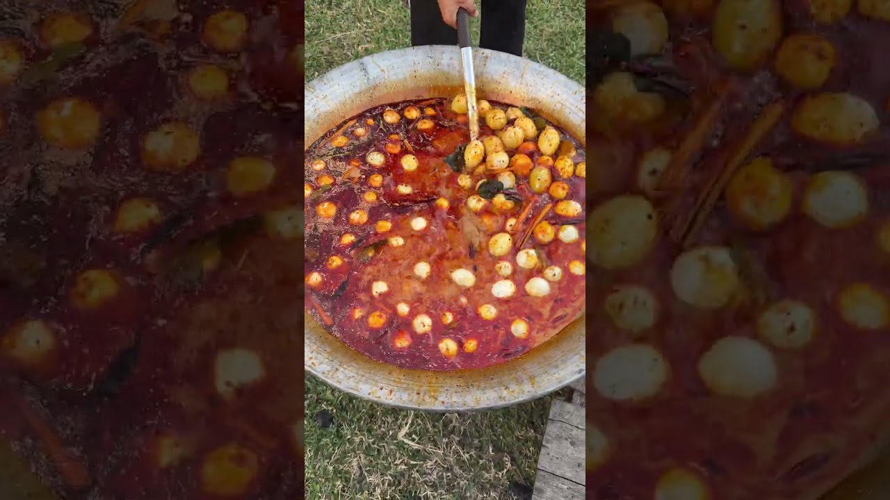 ពងទាកូនសុីឈ័ន