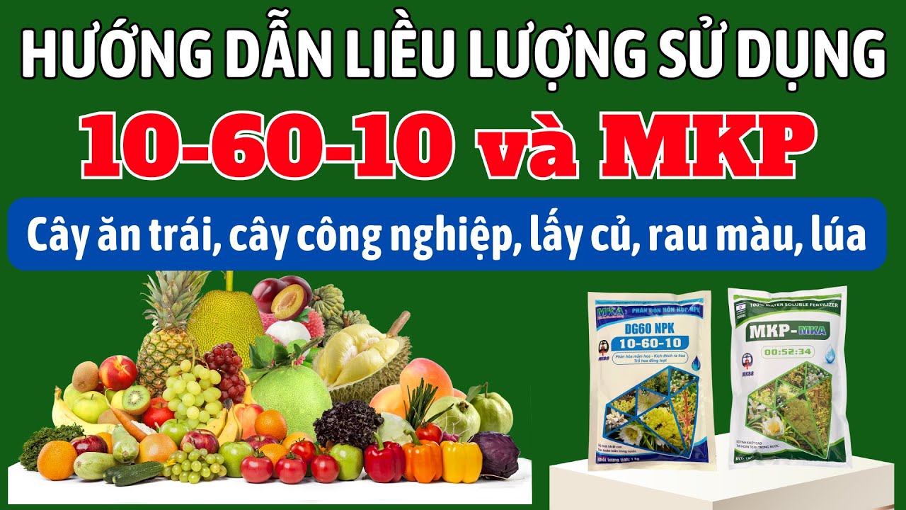 Hướng dẫn liều lượng sử dụng 10-60-10 và MKP trên các loại cây trồng: Ăn trái, lấy củ, rau màu, lúa