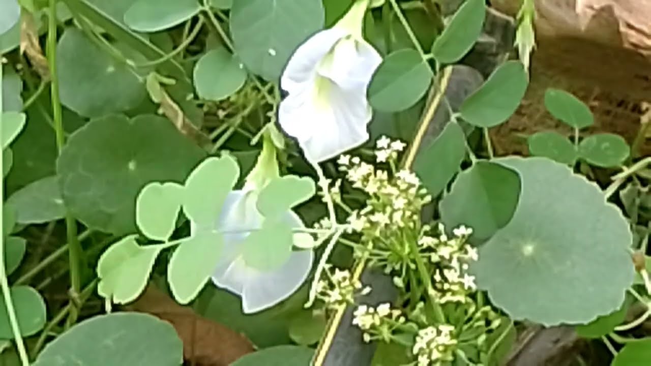 பவானியின் முகத்திரையை கிழித்த பாரதி 16 மார்ச் 