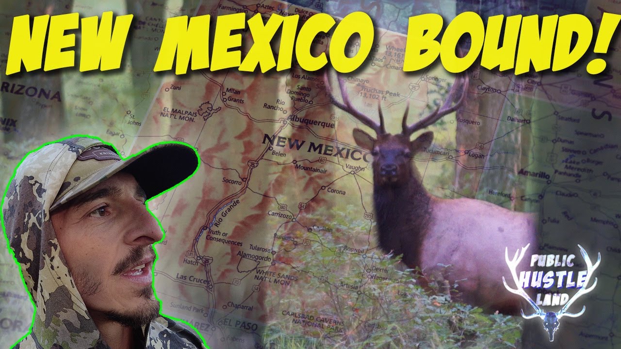 INCREDIBLE New Mexico Archery Elk TAG // PLH 3.01
