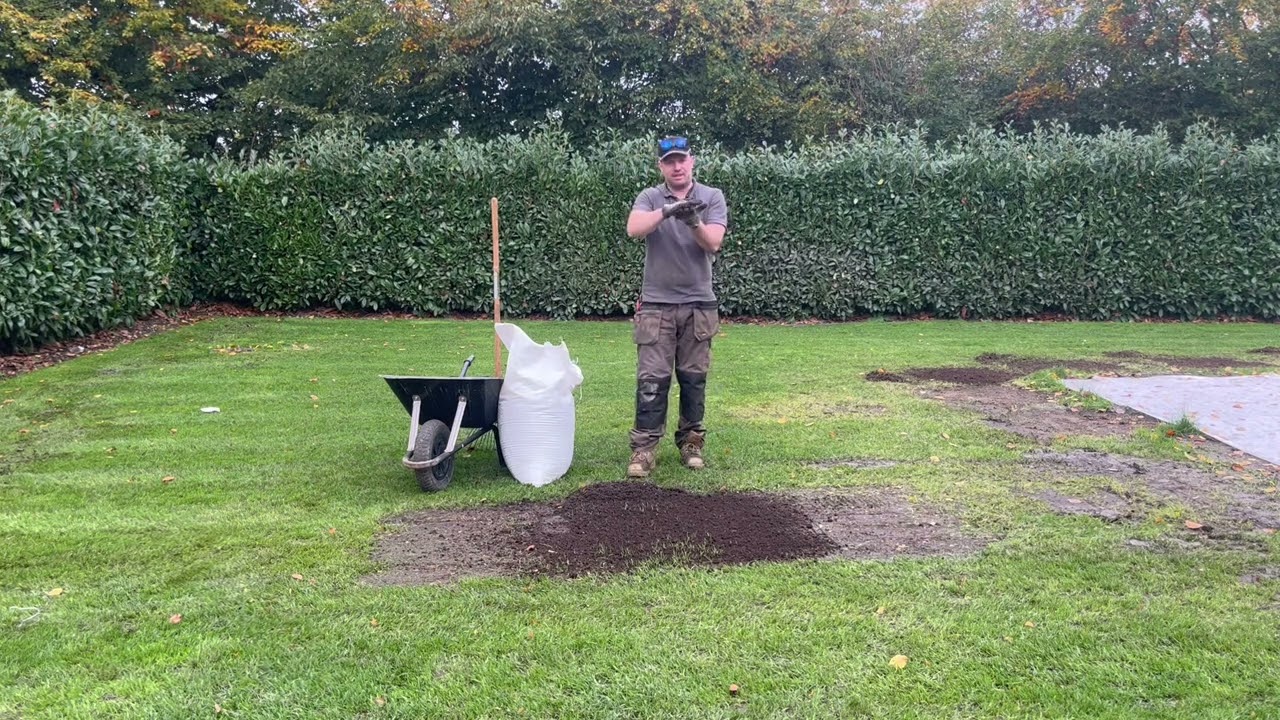 Quick Autumnal Lawn Maintenance!