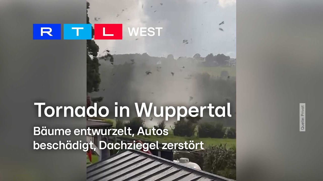 Tornado in Wuppertal: Bäume entwurzelt, Dächer abgedeckt | RTL WEST, 31.08.2023