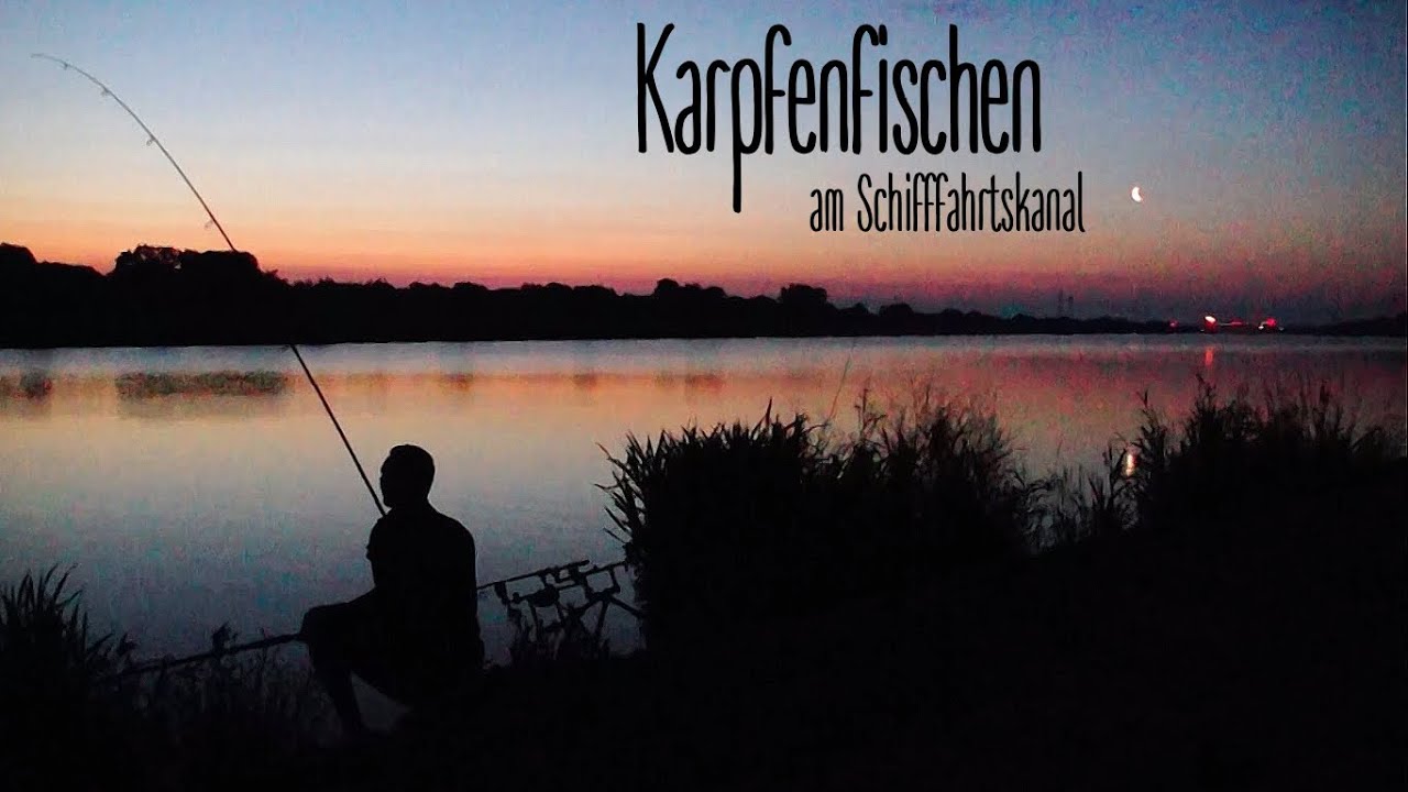 Karpfenangeln am Schifffahrtskanal || Canal Carp Fishing || Impression || Session II