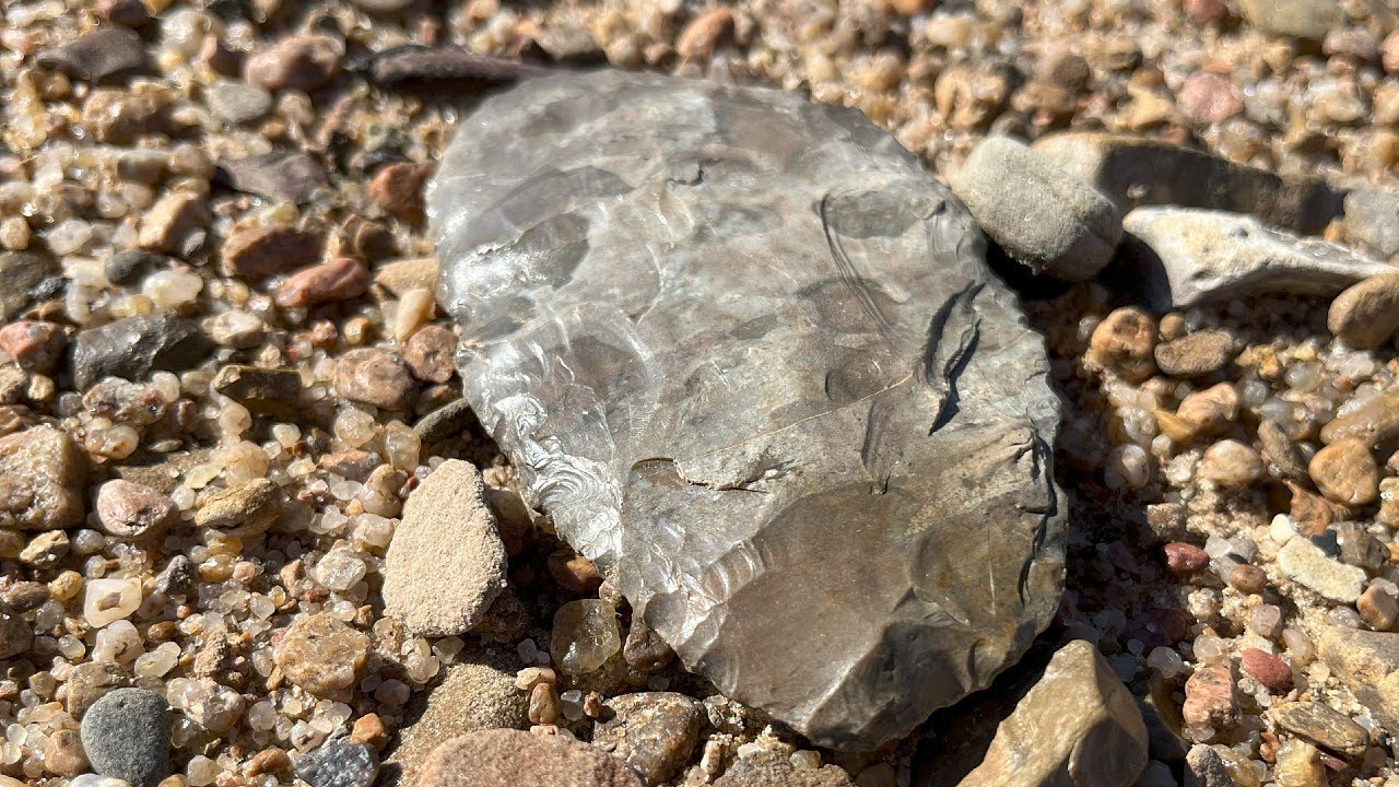 Arrowhead Hunting: I MUST Be Dreaming (2025)