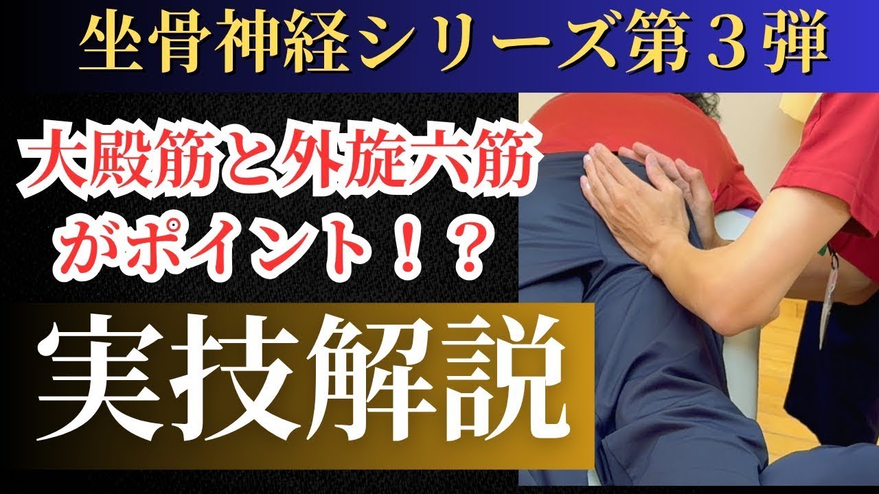【坐骨神経シリーズ第３弾】大殿筋を狙え！坐骨神経痛アプローチ術