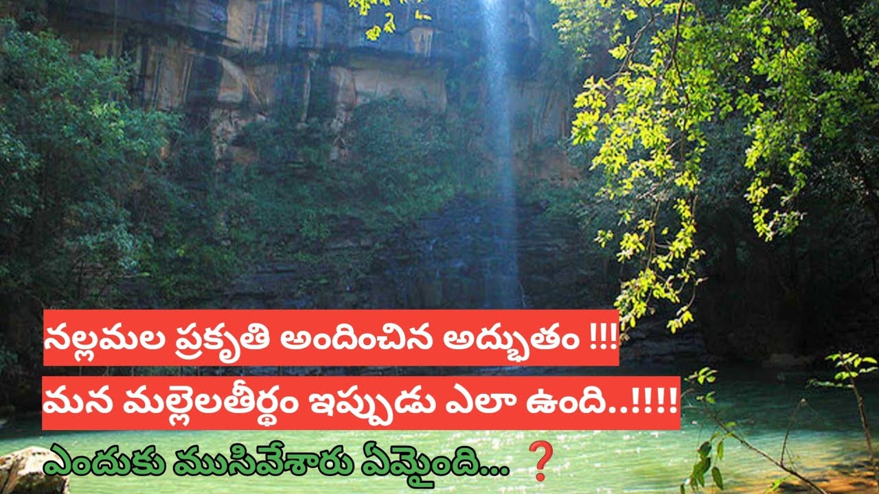 Mallela Theertham Waterfall | నల్లమల ప్రకృతి అందించిన అద్భుతం మన మల్లెల తీర్ధం | #mallelatheerdham