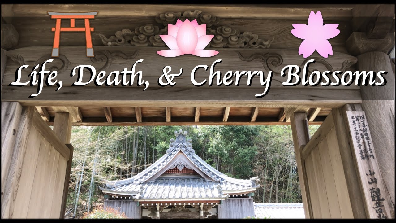 The Role of Shinto Shrines and Buddhist Temples in Japan | Exploring the Japanese Countryside! 🚲