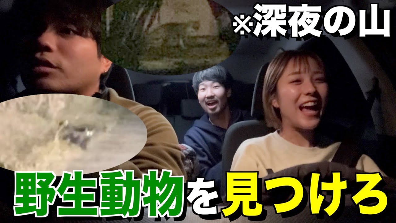 【ナイトZOO】田舎の山道で動物３種類見つけれるまで帰れません！！！！