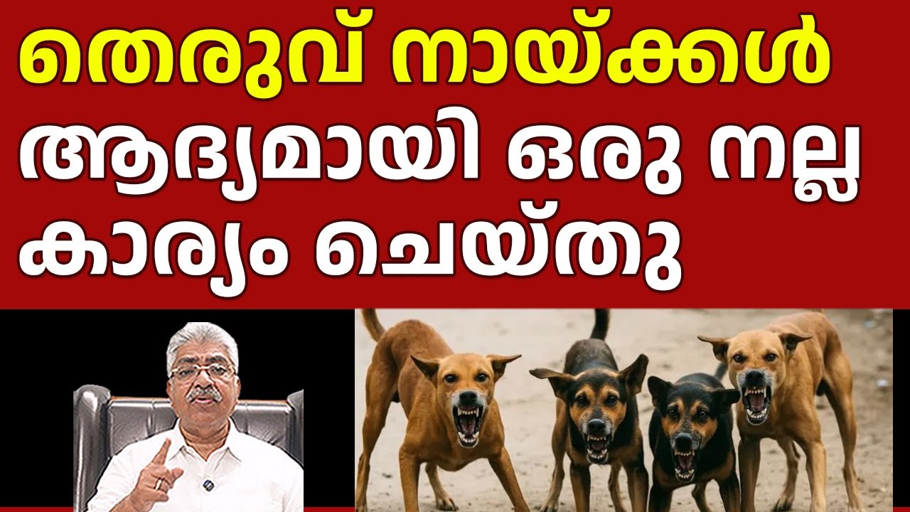 തെരുവുകൾ നായ്ക്കളുടേത് മാത്രമല്ല I Stray Dogs I Justice Kemal Pasha Voice