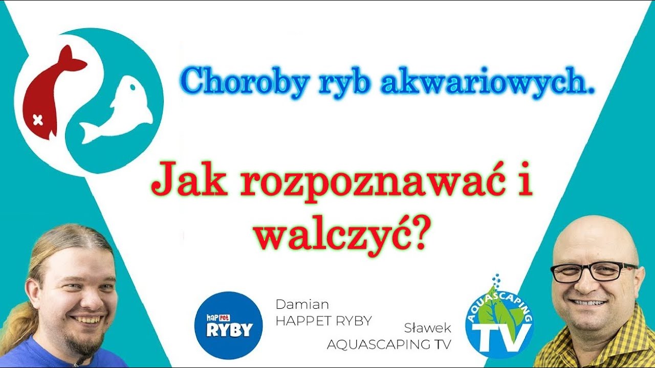 Jak rozpoznać CHOROBE RYB Akwariowych?