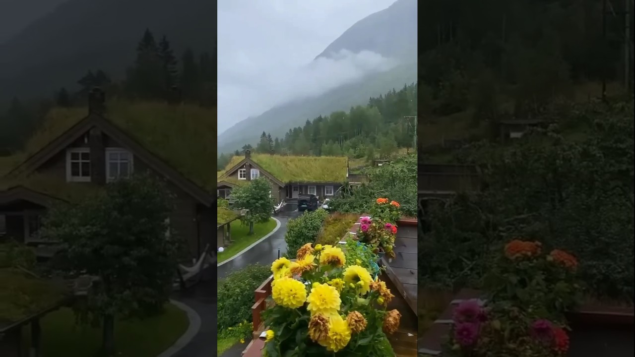 😍Most Beautiful Places & Nature🌿✨ 